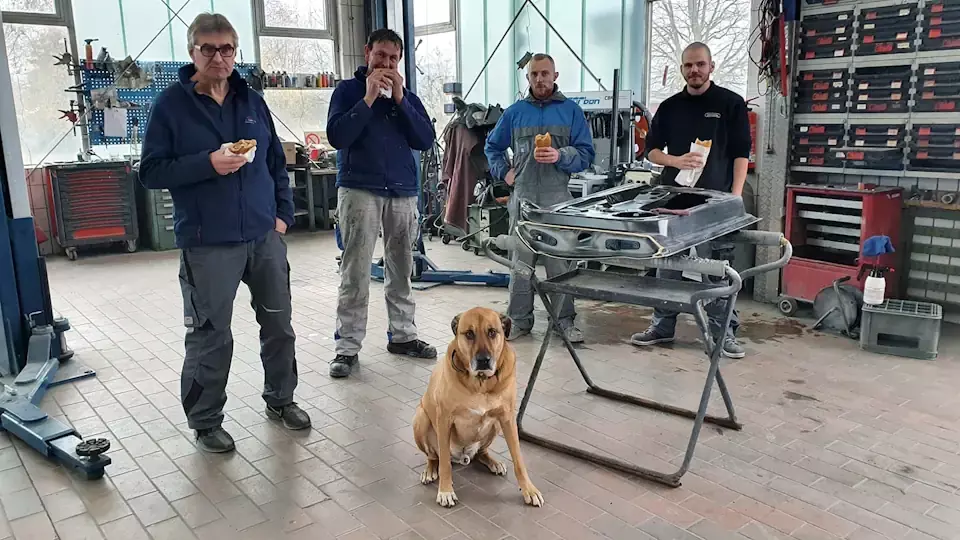 Team Michael Gärtlein mit Hund Swarly Team Michael Gärtlein mit Hund Swarly